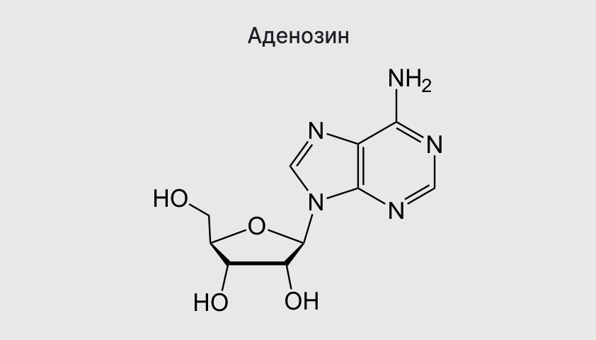 Кофе во время беременности - все ответы, можно ли кофе на ранних сроках