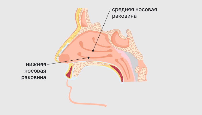 Изображение укола